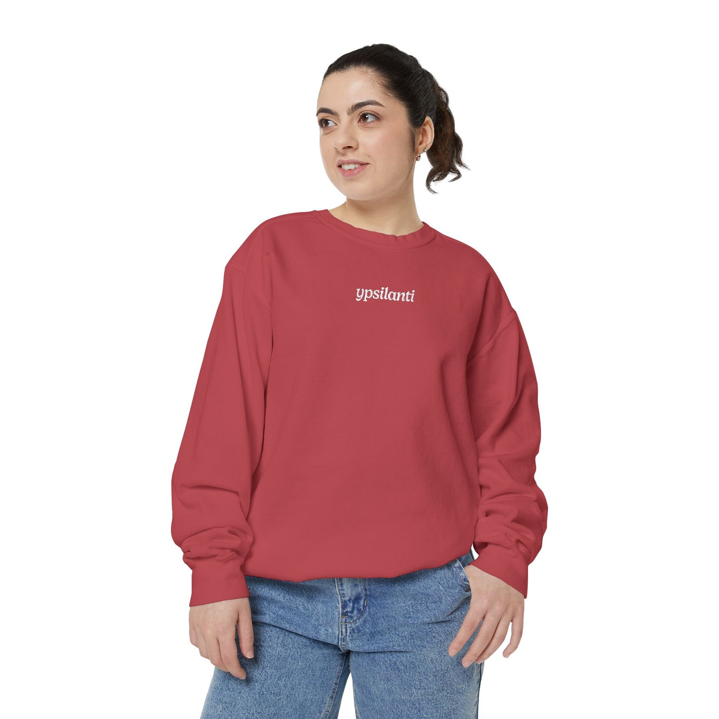 Ypsilanti Embroidered Sweatshirt
