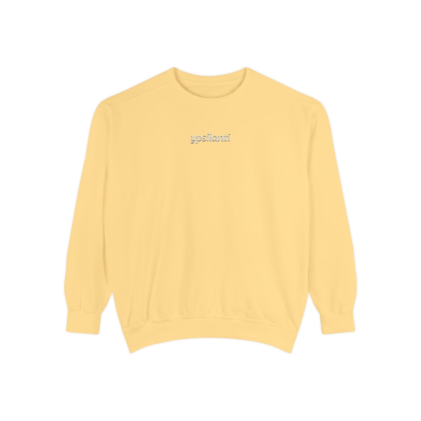 Ypsilanti Embroidered Sweatshirt