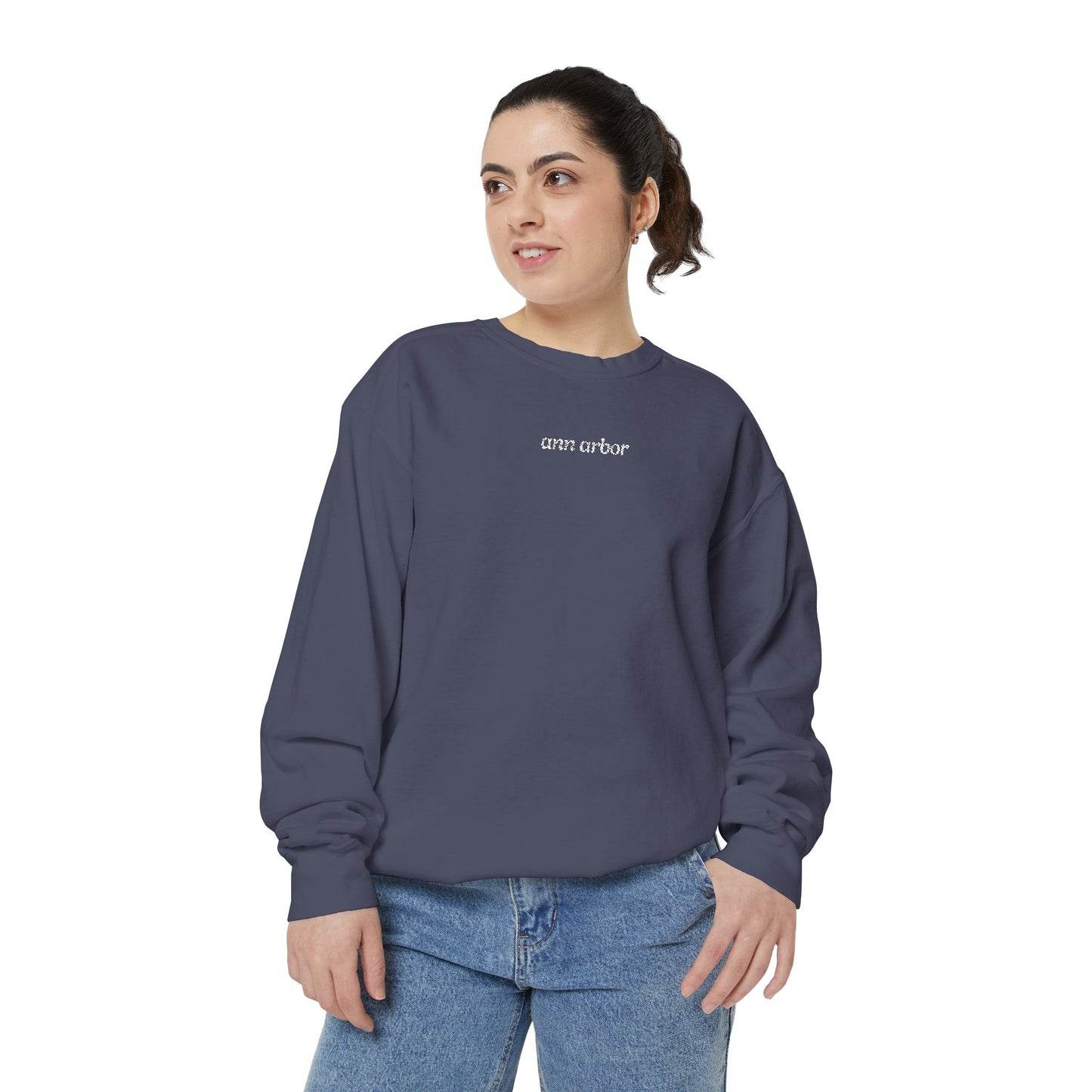 Ann Arbor Embroidered Sweatshirt