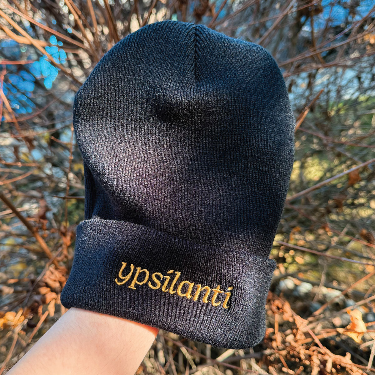 Ypsilanti Embroidered Beanie