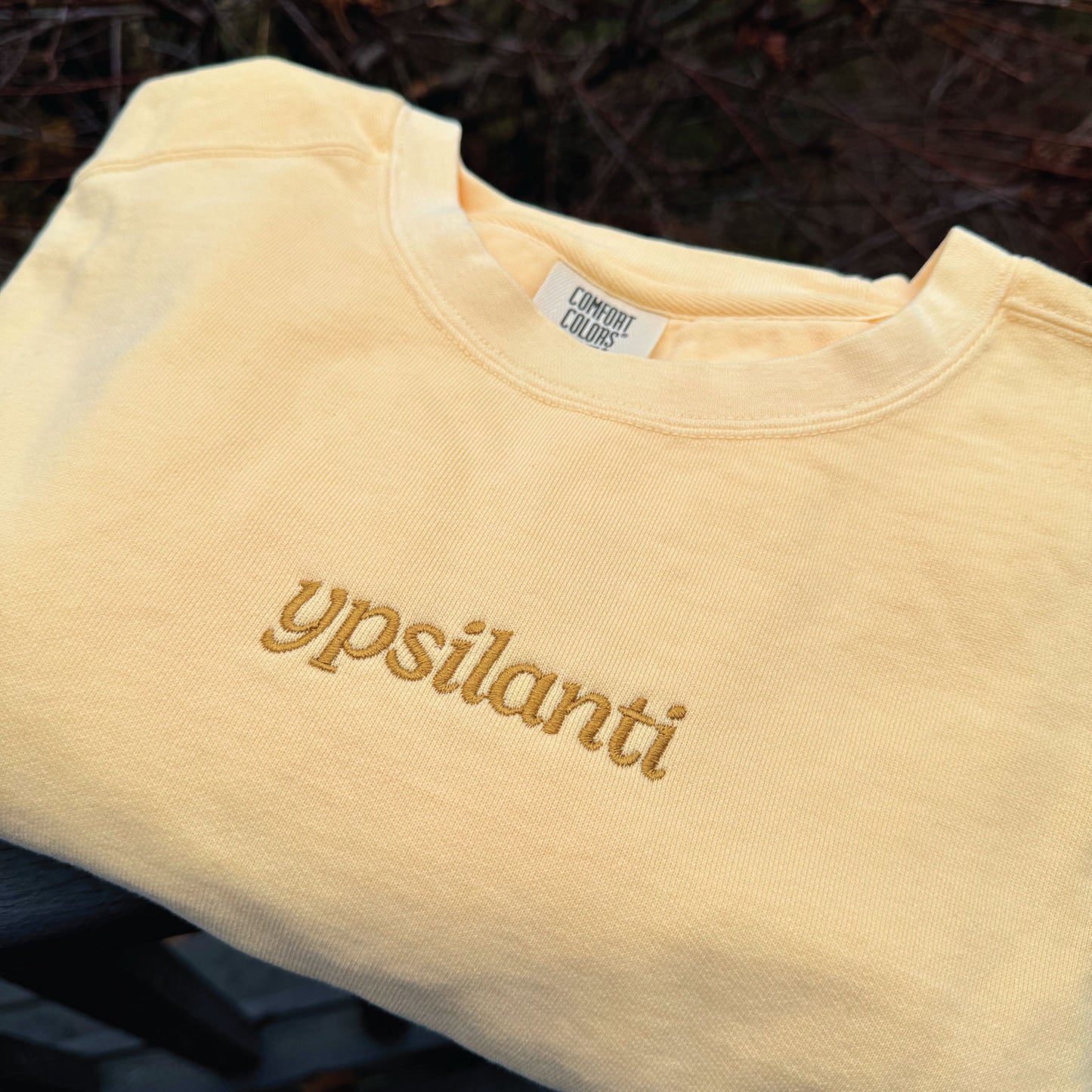 Ypsilanti Embroidered Sweatshirt