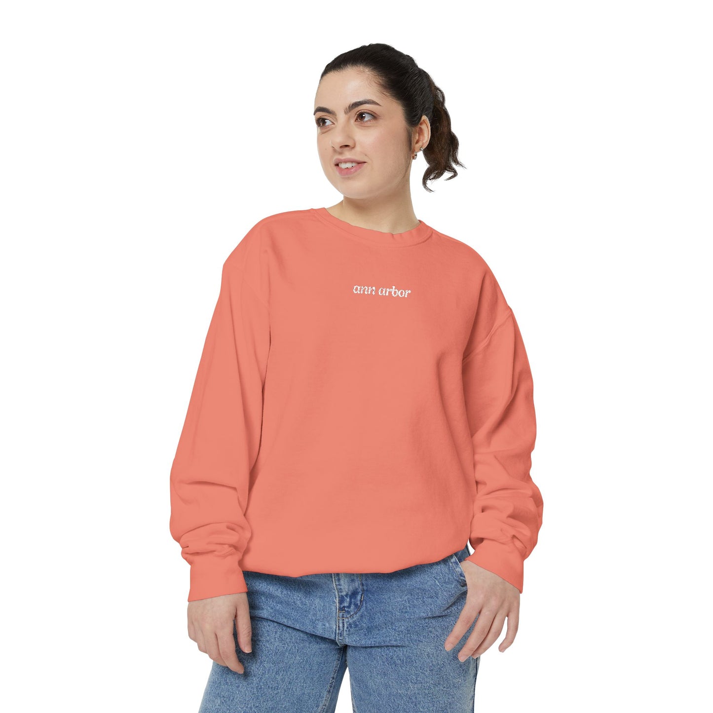 Ann Arbor Embroidered Sweatshirt