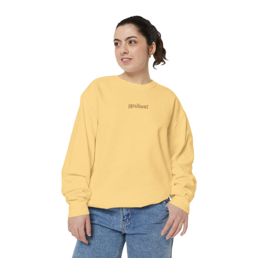 Ypsilanti Embroidered Sweatshirt
